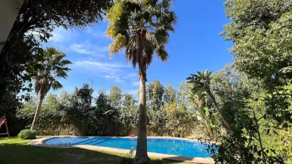 una palmera frente a una piscina en Villa Jasmina Targa, en Marrakech