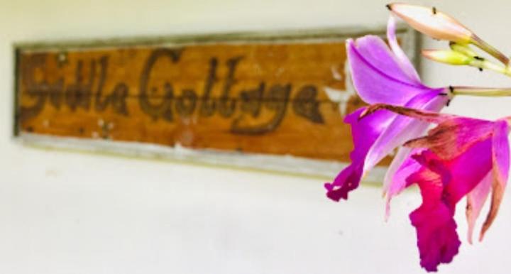 Fotografie z fotogalerie ubytování Saddle Cottage v destinaci Ella