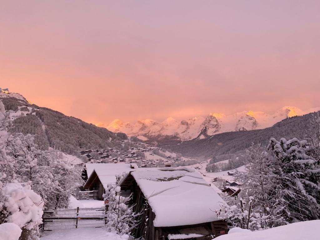 a village covered in snow with mountains in the background at LE RUCHER DE LA VIGNETTE in Le Grand-Bornand