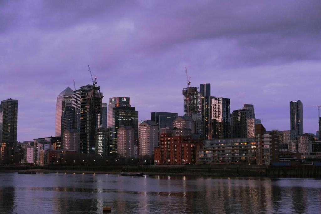 Cette chambre offre une vue sur une ville avec de grands bâtiments et une rivière. dans l'établissement Transom Close, à Londres