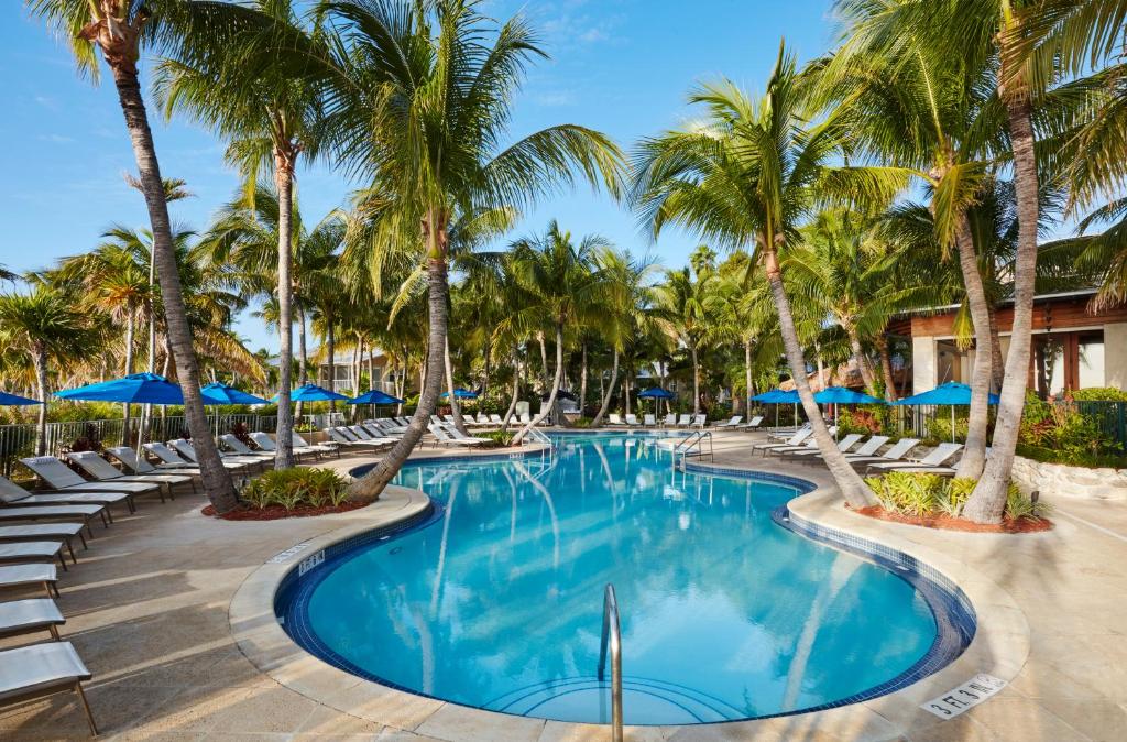 a pool with chairs and palm trees at a resort at Cheeca Lodge & Spa in Islamorada