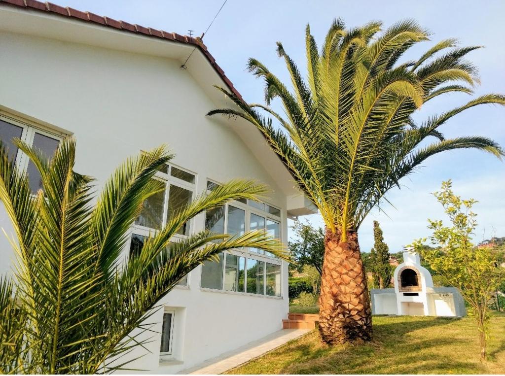 una palmera frente a una casa blanca en Preciosa Casa de Campo + Playa + Jardín + Mascotas, en Naveces