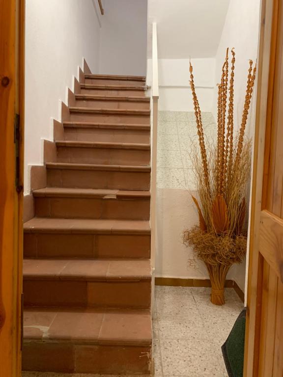 Fotografie z fotogalerie ubytování Al Castello Apartment v destinaci Fiumefreddo Bruzio
