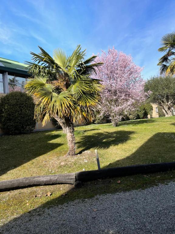 Jardí fora de Parco Hotel Sassi