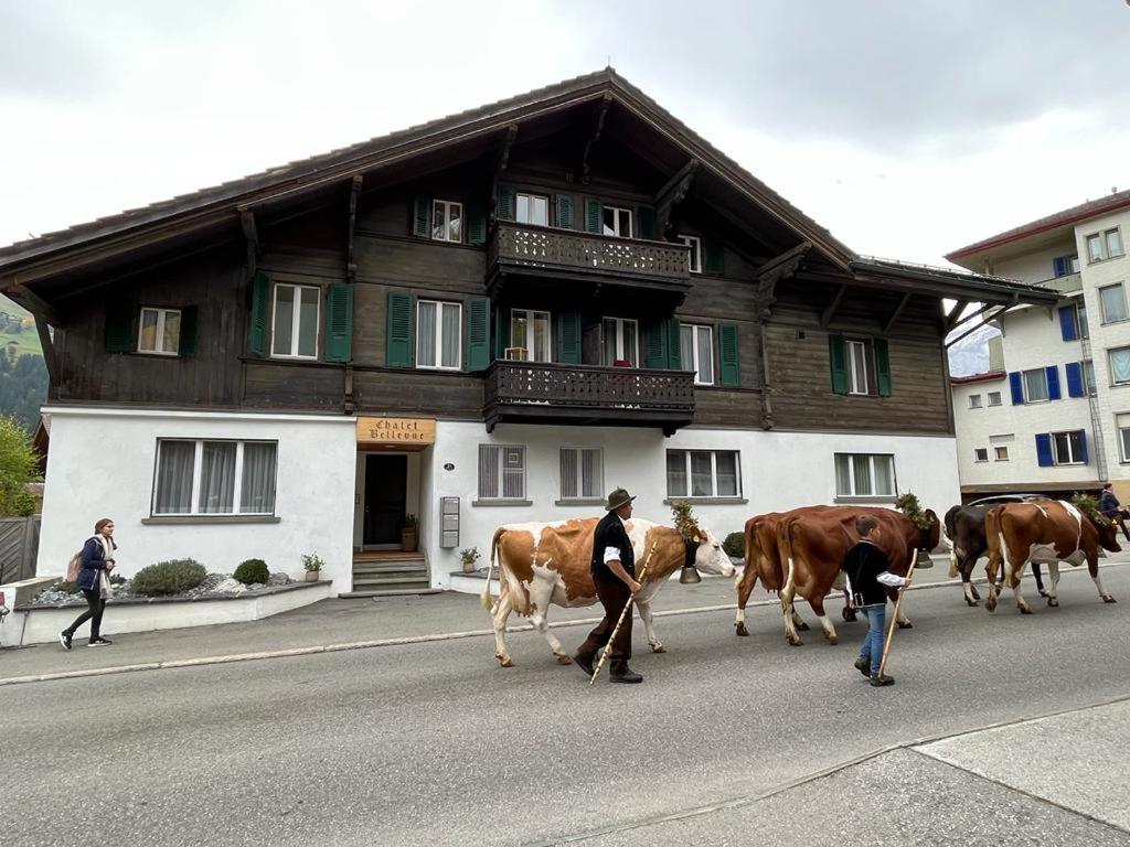 a group of cows walking down a street in front of a building at Cozy apartment in center Lenk in Lenk