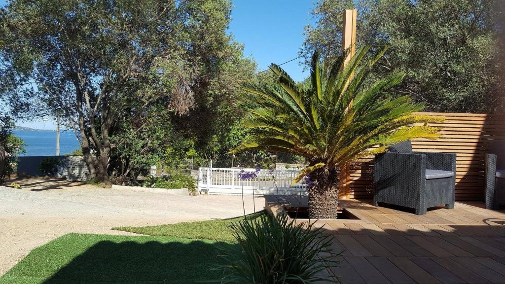 un palmier assis à côté d'un banc dans une cour dans l'établissement Locations au centre-ville de Porto-Vecchio, à Porto-Vecchio