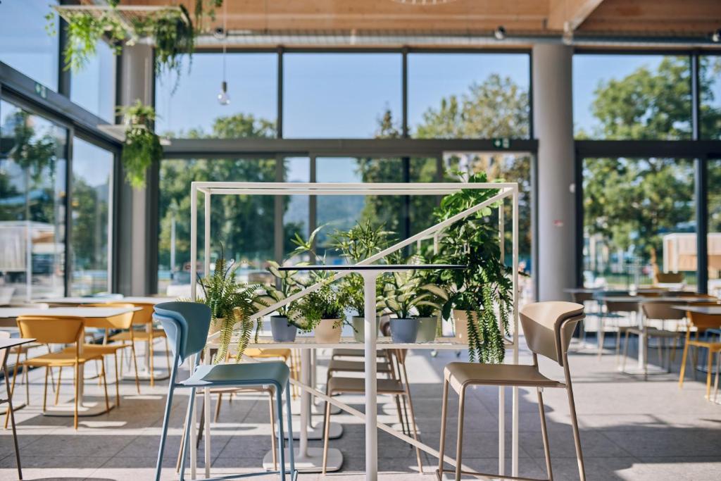 Restaurace v ubytování Premium Mobile Tree House with Thermal Riviera Tickets