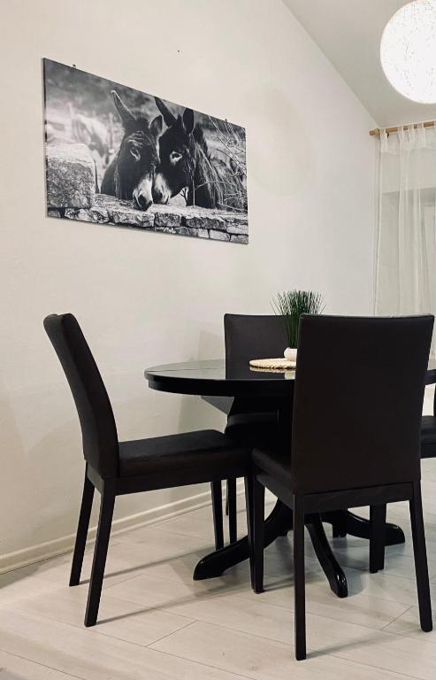 Fotografie z fotogalerie ubytování Apartment Beshtie v destinaci Zadar