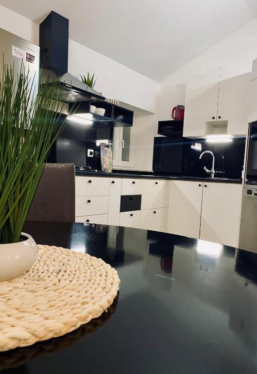 Kuchyň nebo kuchyňský kout v ubytování Apartment Beshtie