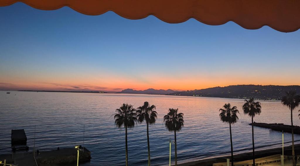 un grupo de palmeras en el agua al atardecer en Superbe appartement vue mer panoramique, en Juan-les-Pins