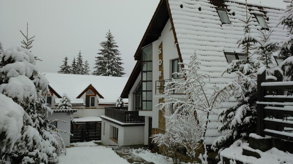 una casa ricoperta di neve con alberi di fronte di Vila Sorina a Poiana Brasov