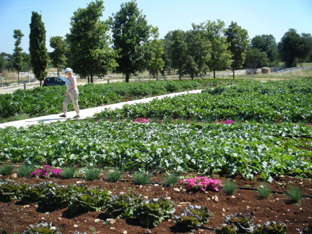 Giardino di Apulia Victor Country Hotel