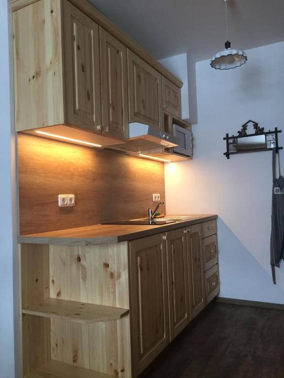 Kuchyň nebo kuchyňský kout v ubytování Apartments Rokytka 112 a 208
