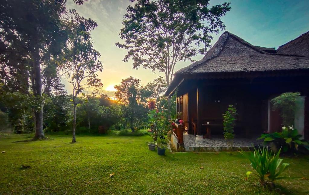 Zahrada ubytování Orangutan Bungalow