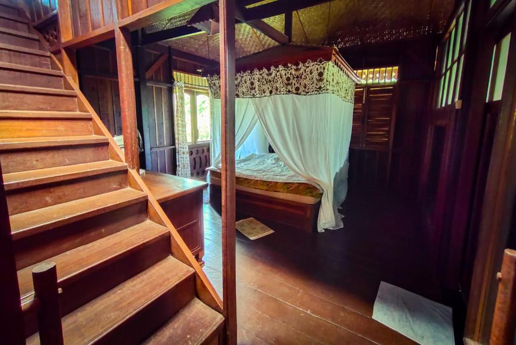 ein Schlafzimmer mit einem Etagenbett in einem Haus in der Unterkunft Orangutan Bungalow in Bukit Lawang