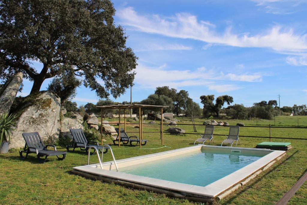 a swimming pool in a field with chairs and a tree at Monte das Cobras - Country House in Évora