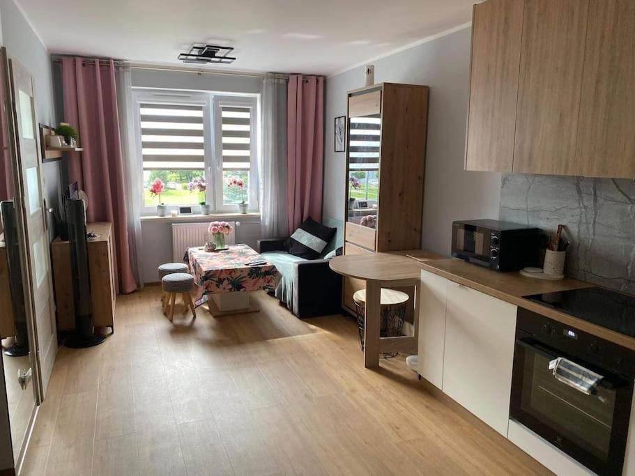 Η κουζίνα ή μικρή κουζίνα στο Uroczy apartament blisko Zalewu-Lublin