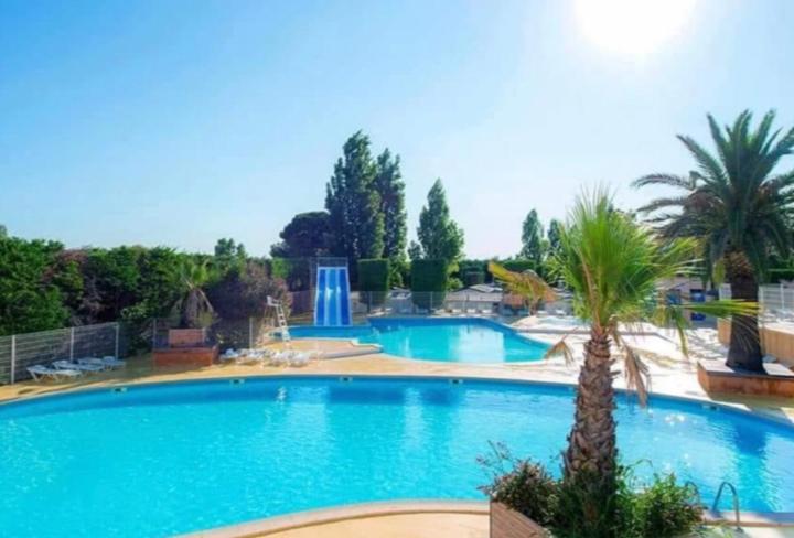 uma grande piscina com uma palmeira ao lado em Mobil-home COSY clim&tv-3 Chambres em Vic-la-Gardiole