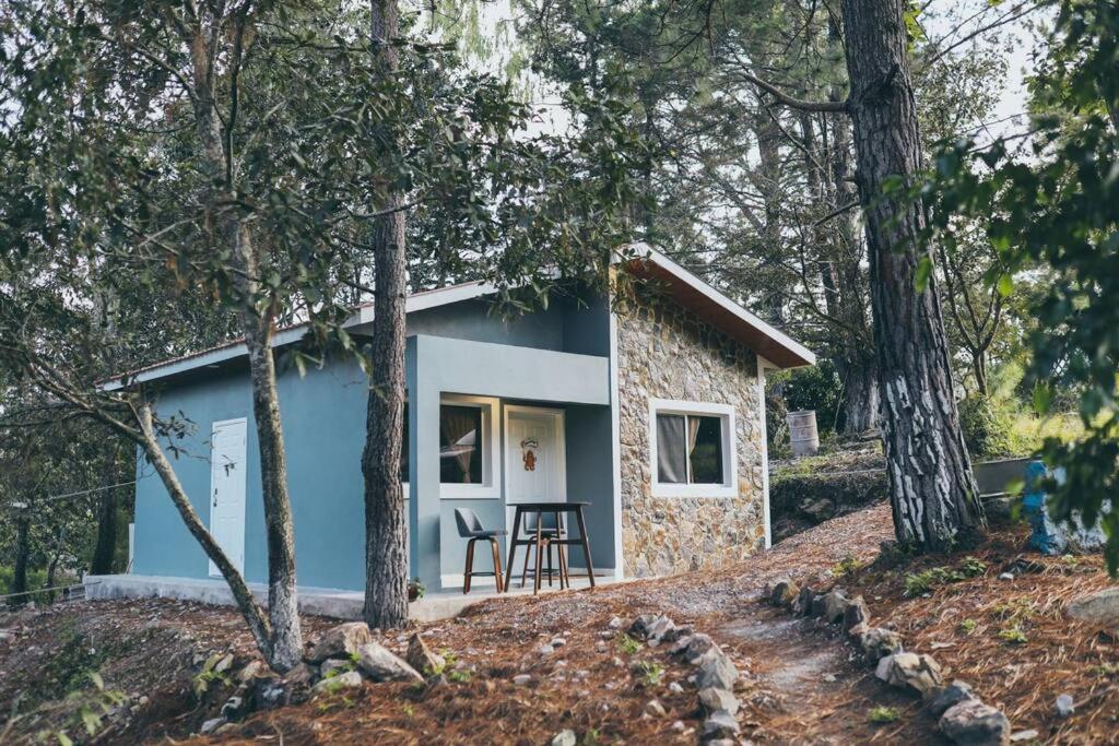 a small cottage in the woods with trees at Casa de Campo Villa Carolina en Zambrano in Zambrano