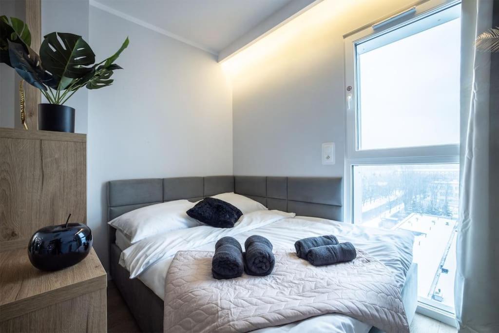 sypialnia z łóżkiem z niebieskimi poduszkami w obiekcie WiguryTower Apartaments 67' w Łodzi