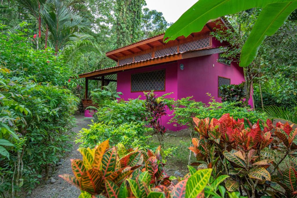 une maison rose au milieu d'un jardin dans l'établissement Colores del Caribe, à Puerto Viejo