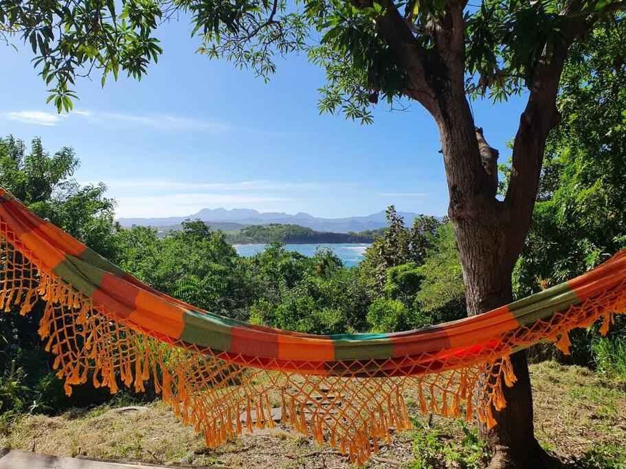 an orange hammock hanging from a tree next to a lake at Villa Sunshine in La Trinité