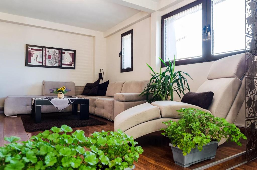 Image showcasing Modern penthouse by the sea with free WiFi - Orbitz