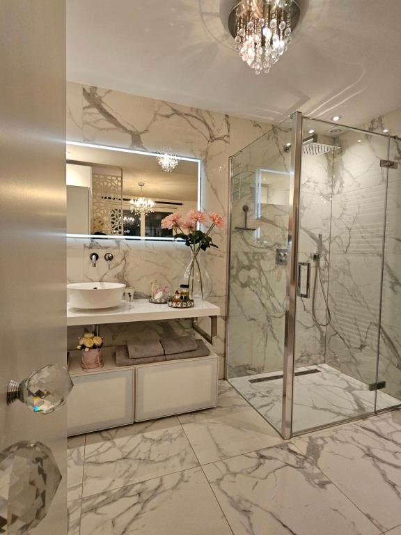 een badkamer met een douche en een wastafel bij B&B Apartment Amsterdam Schiphol Airport in Hoofddorp