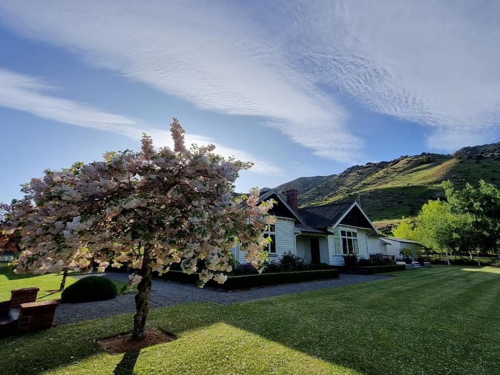 uma árvore num quintal em frente a uma casa em Hurunui Homestead Bed and Breakfast em Hawarden