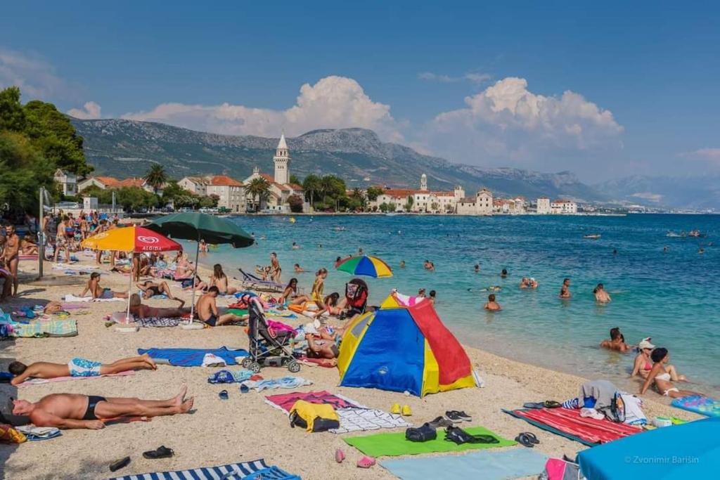 Příroda nedaleko apartmánu