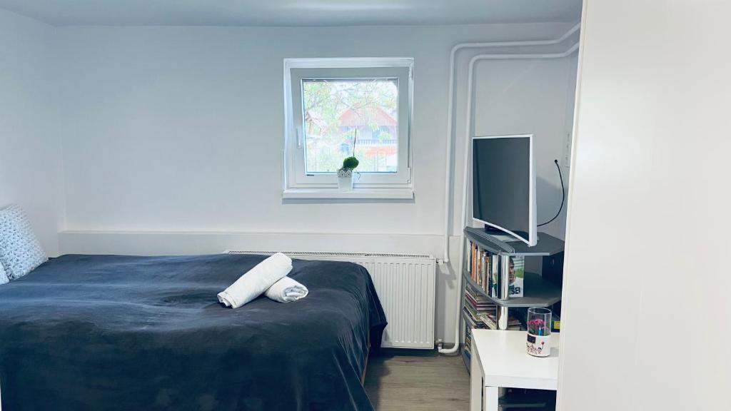 una camera con letto, TV e finestra di Guest accomodation close to Hungaroring a Kerepes