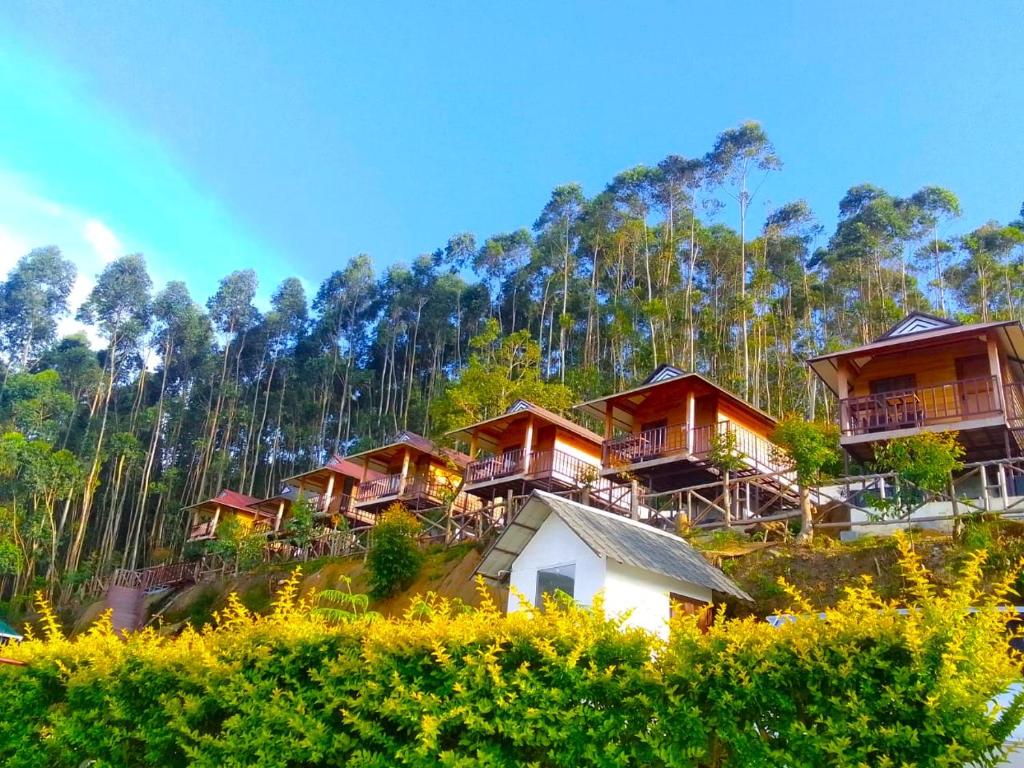 un grupo de casas en una colina con árboles en CHEENI HILL RESORTS, en Kanthalloor