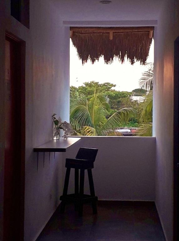 Fotografie z fotogalerie ubytování Hostel Humanity v destinaci Puerto Morelos