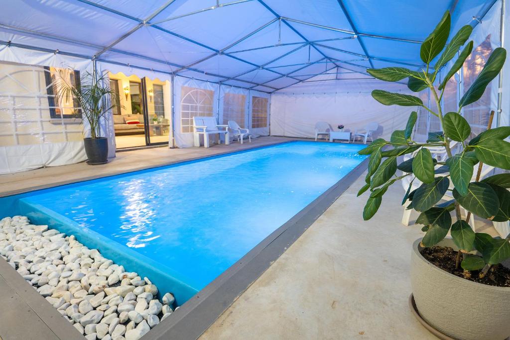 una gran piscina en una carpa con una planta en שופרא ריזורט - וילה ובקתות - נופש וספורט Shoofra Resort Vacation Nature and Sport, en Manot