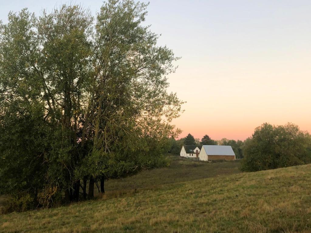 une grange sur une colline avec des arbres et un champ dans l'établissement Prosinko 25, 