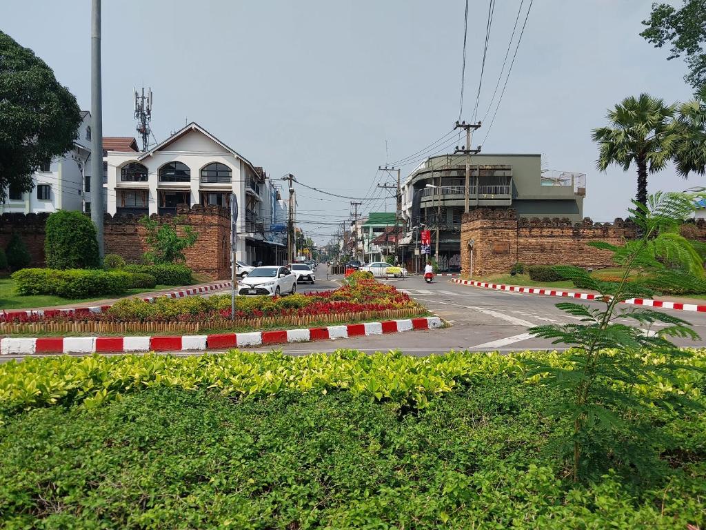 Noble Thippanate - Resim 14