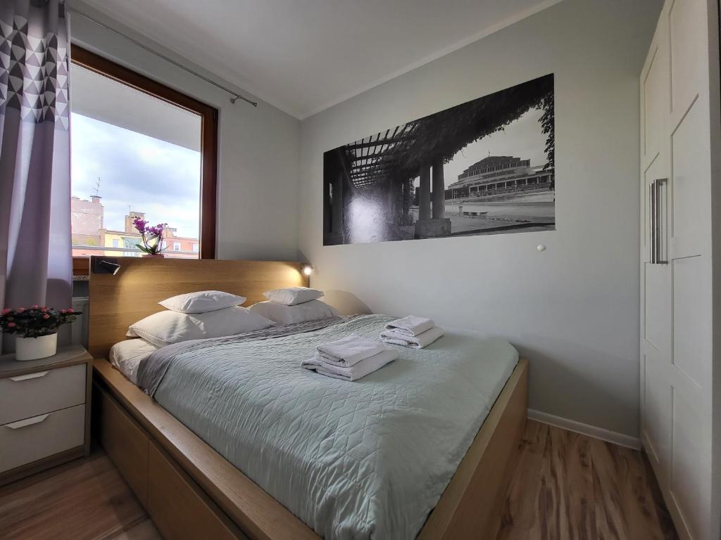 Lucky-Time pl - 2 pokoje - Ostrów Tumski - 9