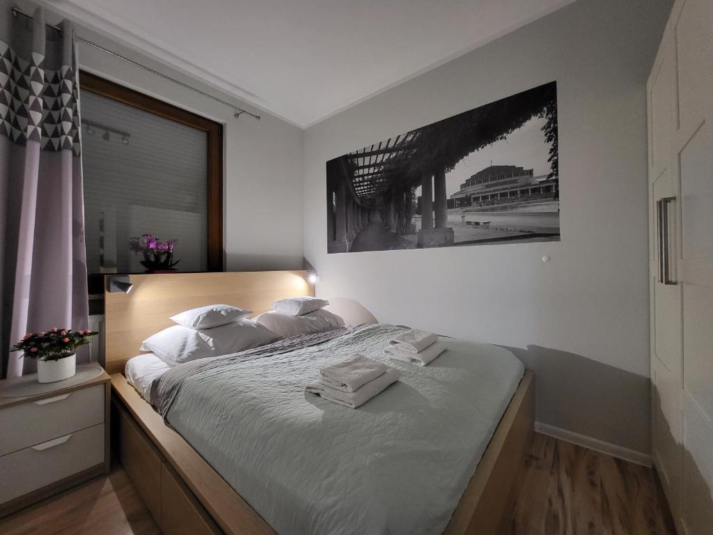 Lucky-Time pl - 2 pokoje - Ostrów Tumski - 10