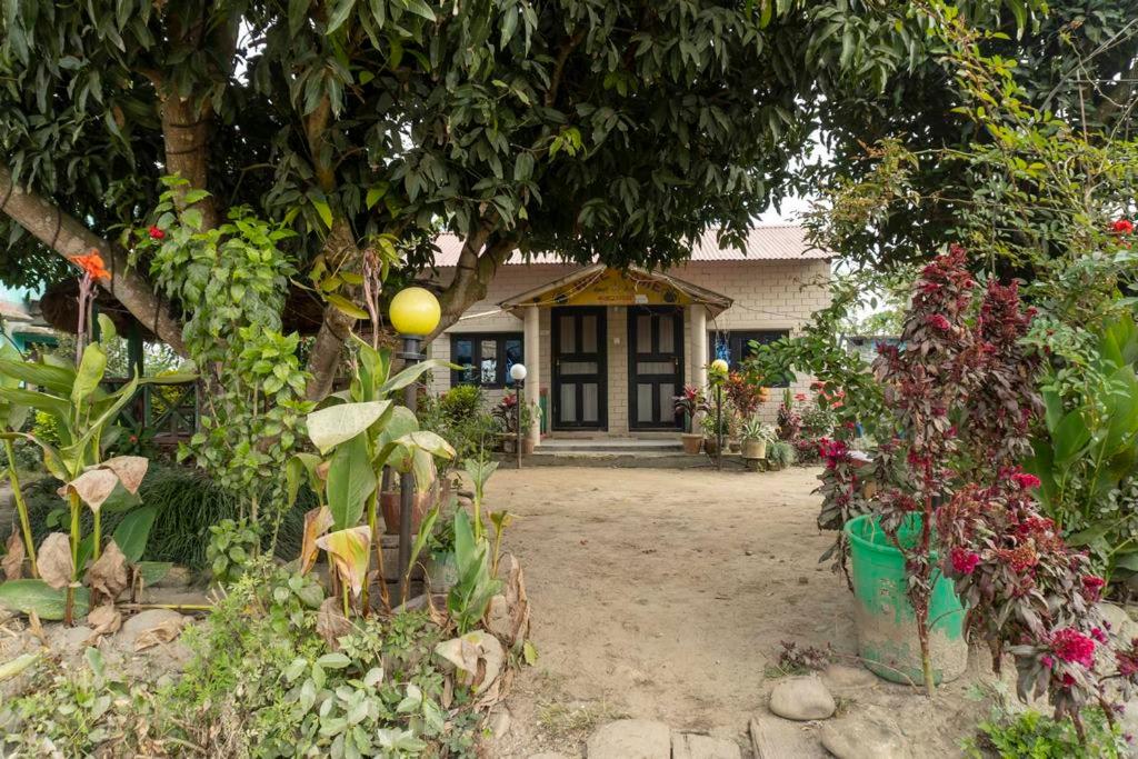 奇旺的住宿－Ayodhyapuri Community Homestay，前面有一堆植物的房子