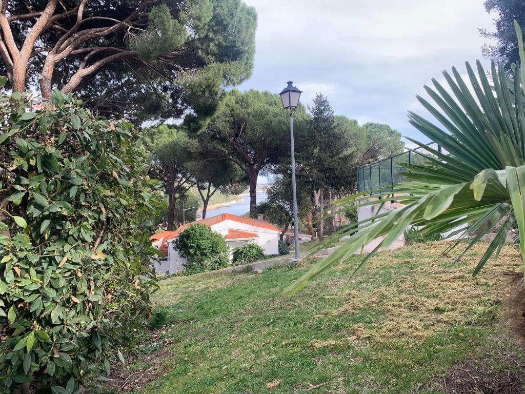 ein Straßenlicht an der Seite eines Hügels mit Bäumen in der Unterkunft La Casita de Noe con vista al Pantano de San Juan in San Martín de Valdeiglesias