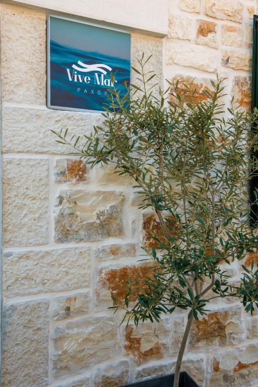 Fotografie z fotogalerie ubytování Vive Mar Paxos v destinaci Gaios