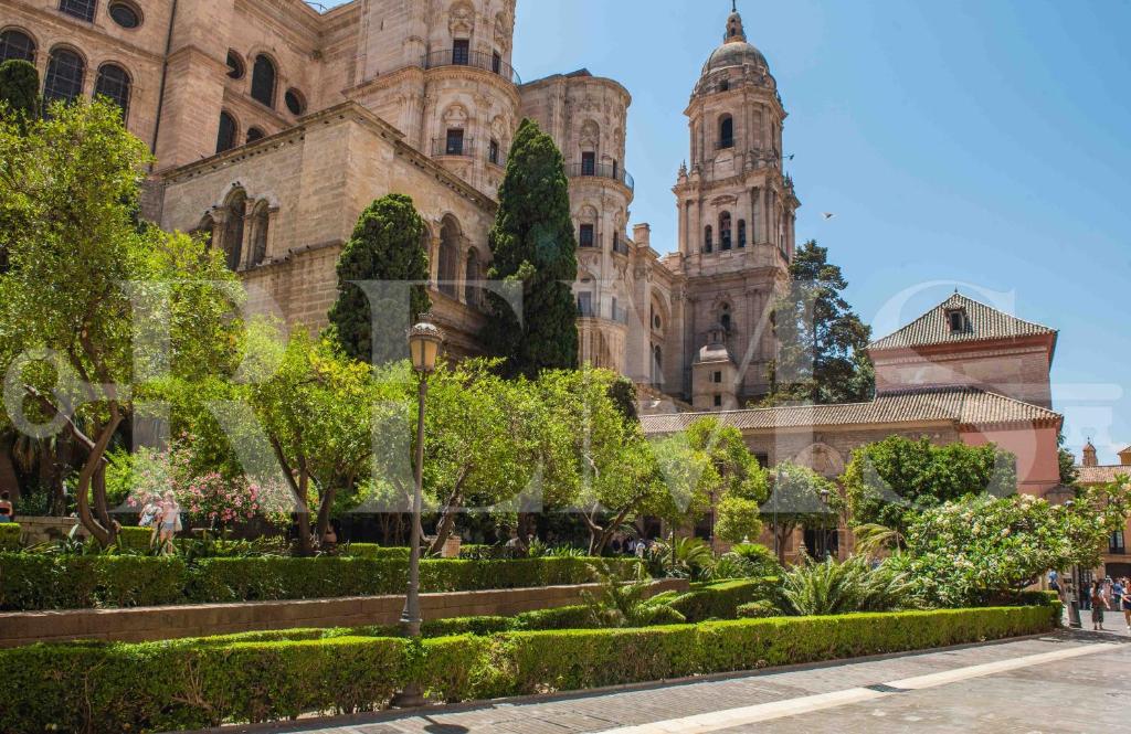 A garden outside Modern gem in heart of Málaga, near sights REMS