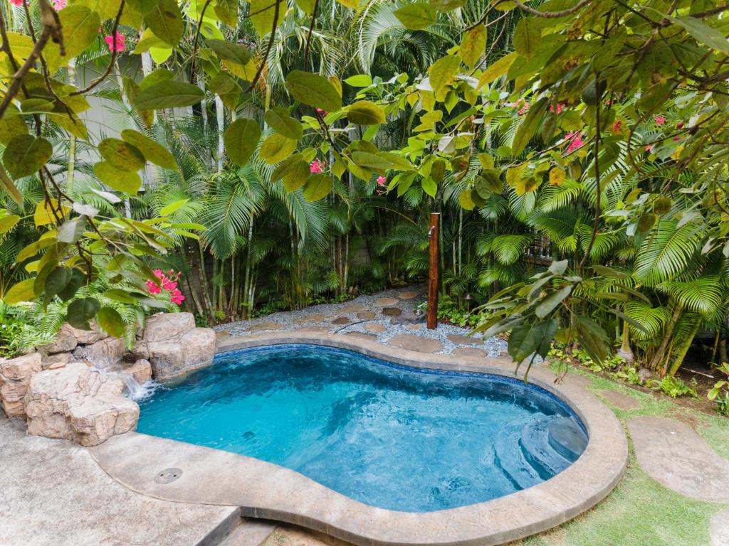 una pequeña piscina en un jardín con árboles en Lanikai Ohana Hale, en Kailua