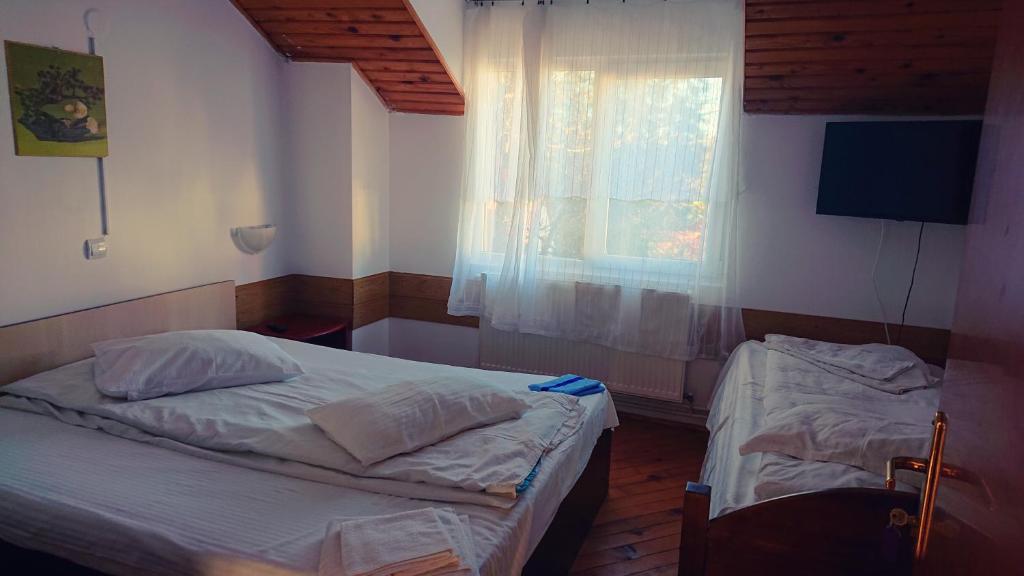 プレデアルにあるvila strugurelu hostelのギャラリーの写真