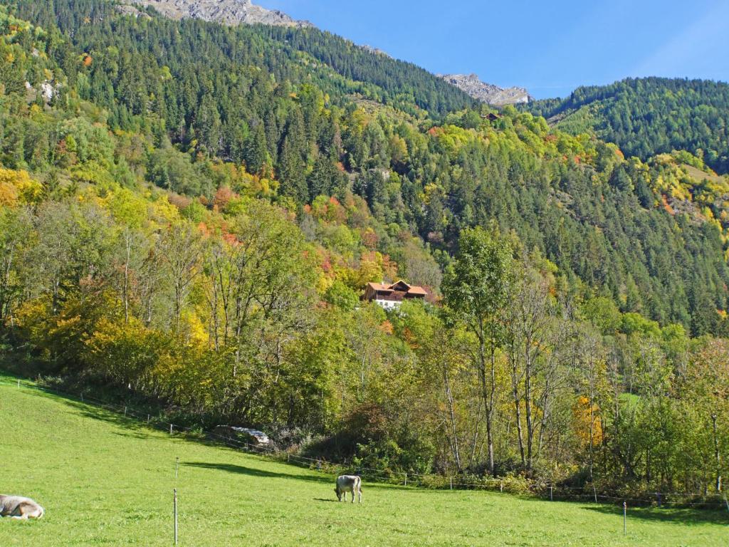 Příroda nedaleko apartmánu