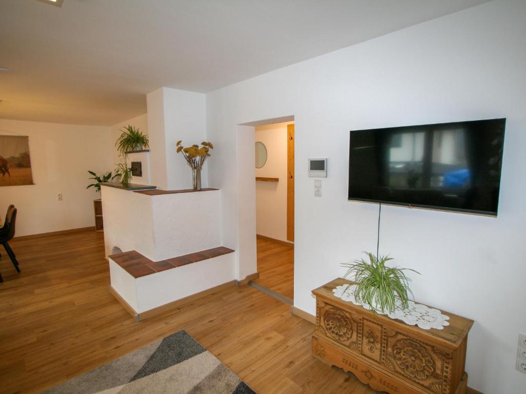TV a/nebo společenská místnost v ubytování Apartment Lisa by Interhome