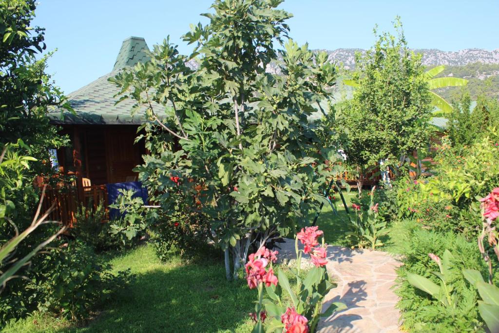 Zahrada ubytování Cirali Armira Bungalow
