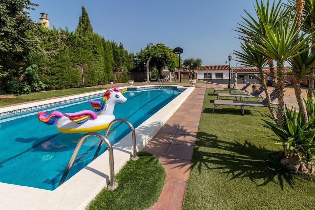 una piscina con sedia di plastica accanto a una piscina di Casa rural con piscina, barbacoa, WIFI a Vilobí d'Onyar