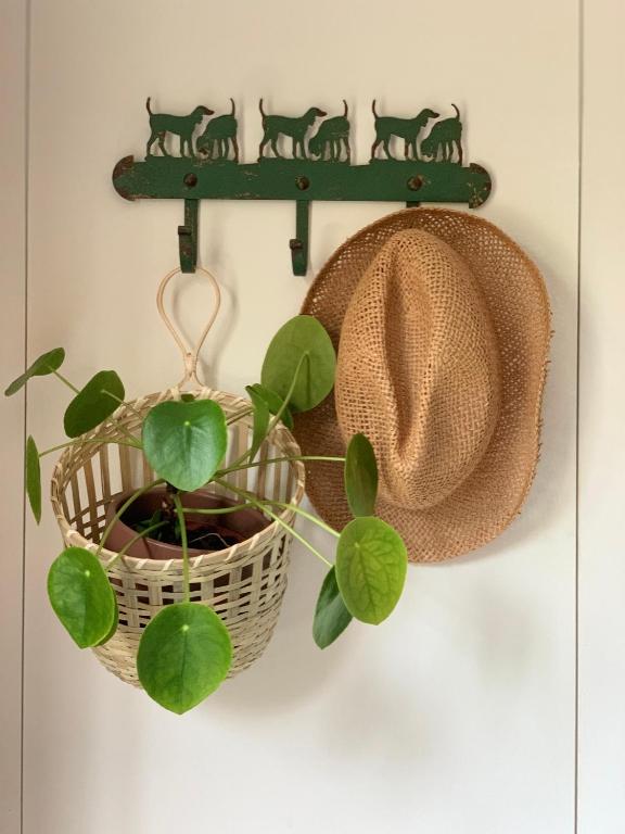 Fotografie z fotogalerie ubytování Vakantiewoning Guesthouse MOMO v destinaci Dilsen-Stokkem