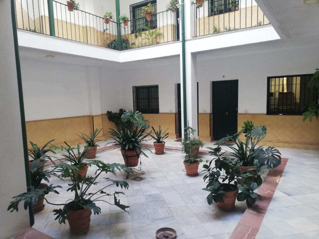 une grande chambre avec des plantes en pot dans un bâtiment dans l'établissement El Alcazar de Ana, à Séville